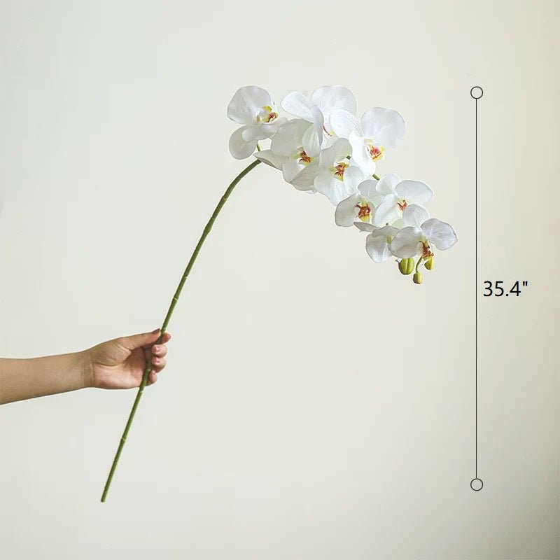 Real Touch Orchid Stem white blossoms, 35.4 inches tall, long green stem held by hand on Tampa Home & Garden Store