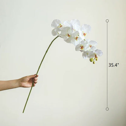 Real Touch Orchid Stem white blossoms, 35.4 inches tall, long green stem held by hand on Tampa Home & Garden Store