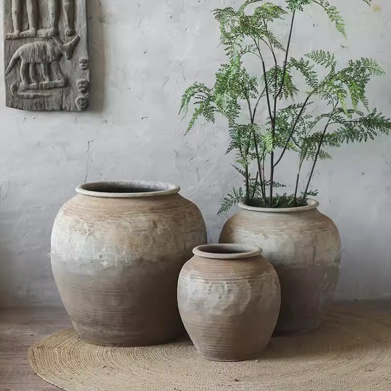 Round earthenware pots in beige clay by RusticReach in three sizes, one pot holds a fern on Tampa Home & Garden Store