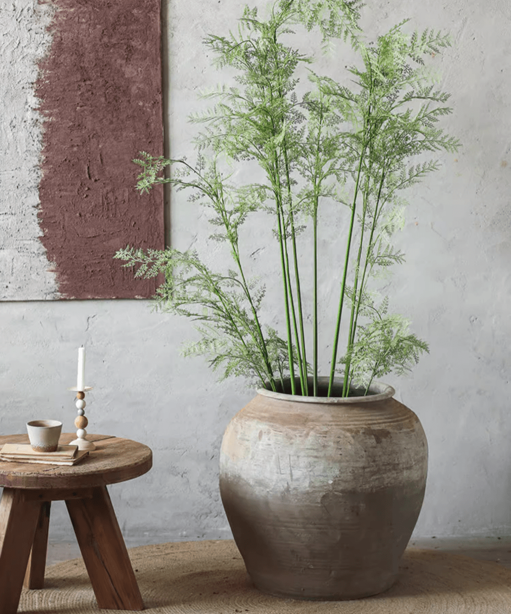 Round Earthenware Pot by RusticReach with weathered glaze and tall fernlike greenery on Tampa Home & Garden Store