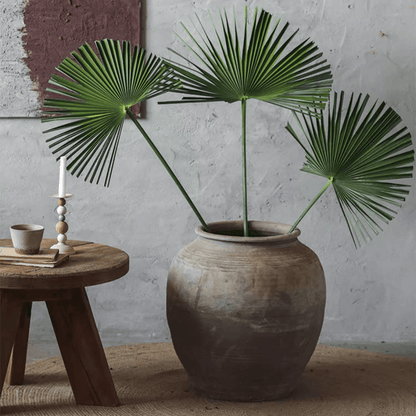 Round Earthenware Pot by RusticReach holding three green fan palm leaves on Tampa Home & Garden Store