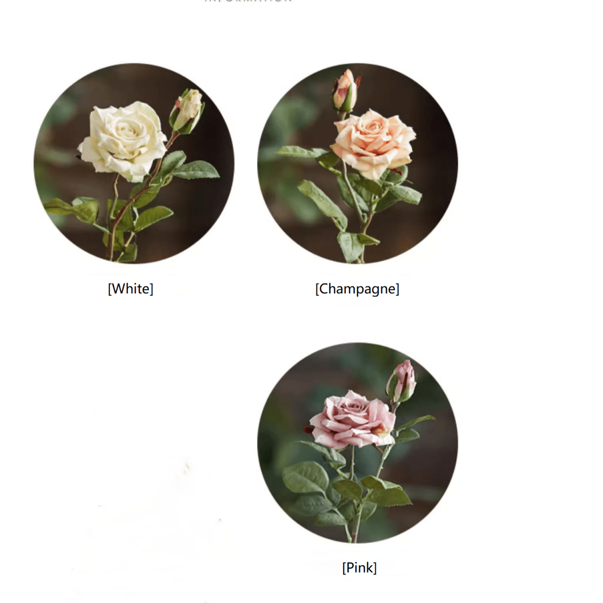 RusticReach Rolled Edge American Rose Stem 18in tall in White, Champagne, Pink (3-color set) on Tampa Home & Garden Store