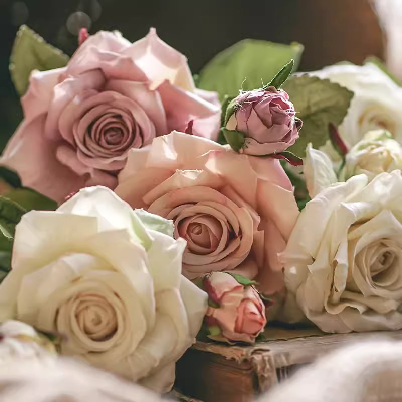 Rolled Edge American Rose Stem 18-inch tall roses in pink, peach, and ivory on Tampa Home & Garden Store