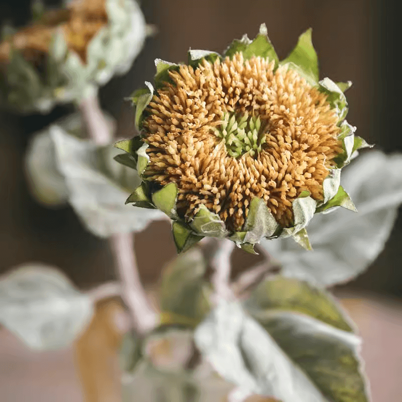 RusticReach artificial sunflower stem 23.6in tall with tan seed head and green leaves on Tampa Home & Garden Store