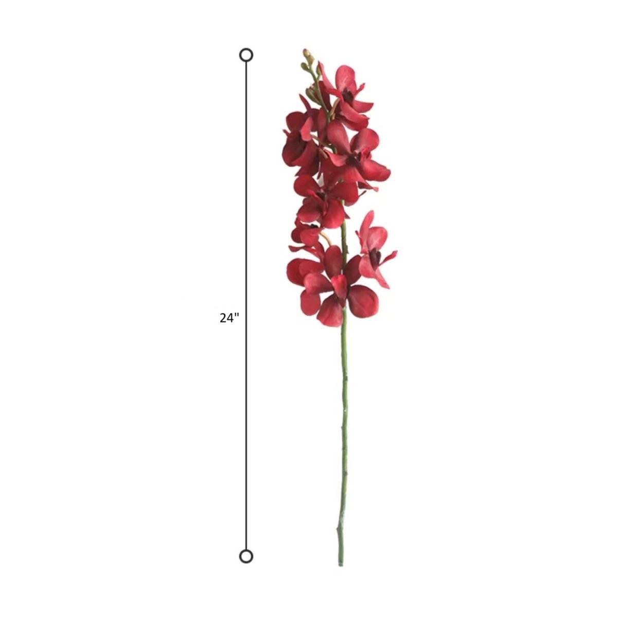 RusticReach Single Red Orchid Stem, 24 inches tall with deep red blossoms on a green stem on Tampa Home & Garden Store