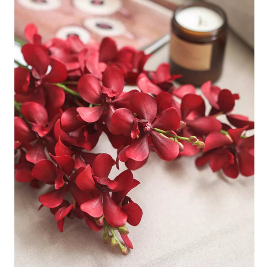 Single Red Orchid Stem 24in tall with vibrant blooms RusticReach on Tampa Home & Garden Store