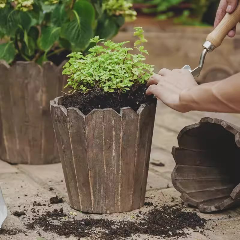 Round spliced solid wood planter by RusticReach with herb plant in soil on a garden table on Tampa Home & Garden Store
