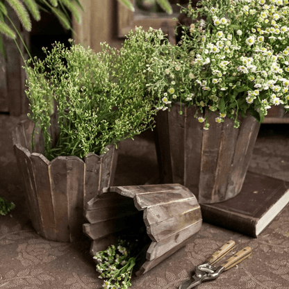 RusticReach spliced solid wood planter rounds with herbs and daisies on Tampa Home & Garden Store