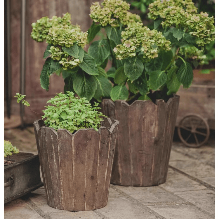 Two brown spliced solid wood round planters with plants on Tampa Home & Garden Store
