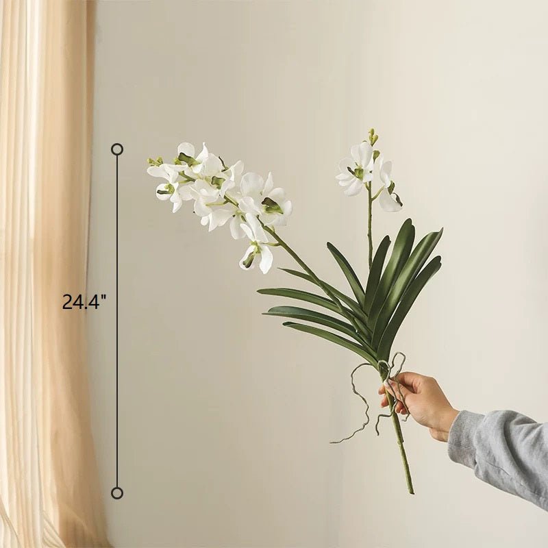 Faux Vanda Orchid Stem 24 inches tall with white blooms and broad green leaves RusticReach on Tampa Home & Garden Store
