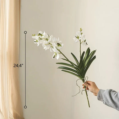 Faux Vanda Orchid Stem 24 inches tall with white blooms and broad green leaves RusticReach on Tampa Home & Garden Store