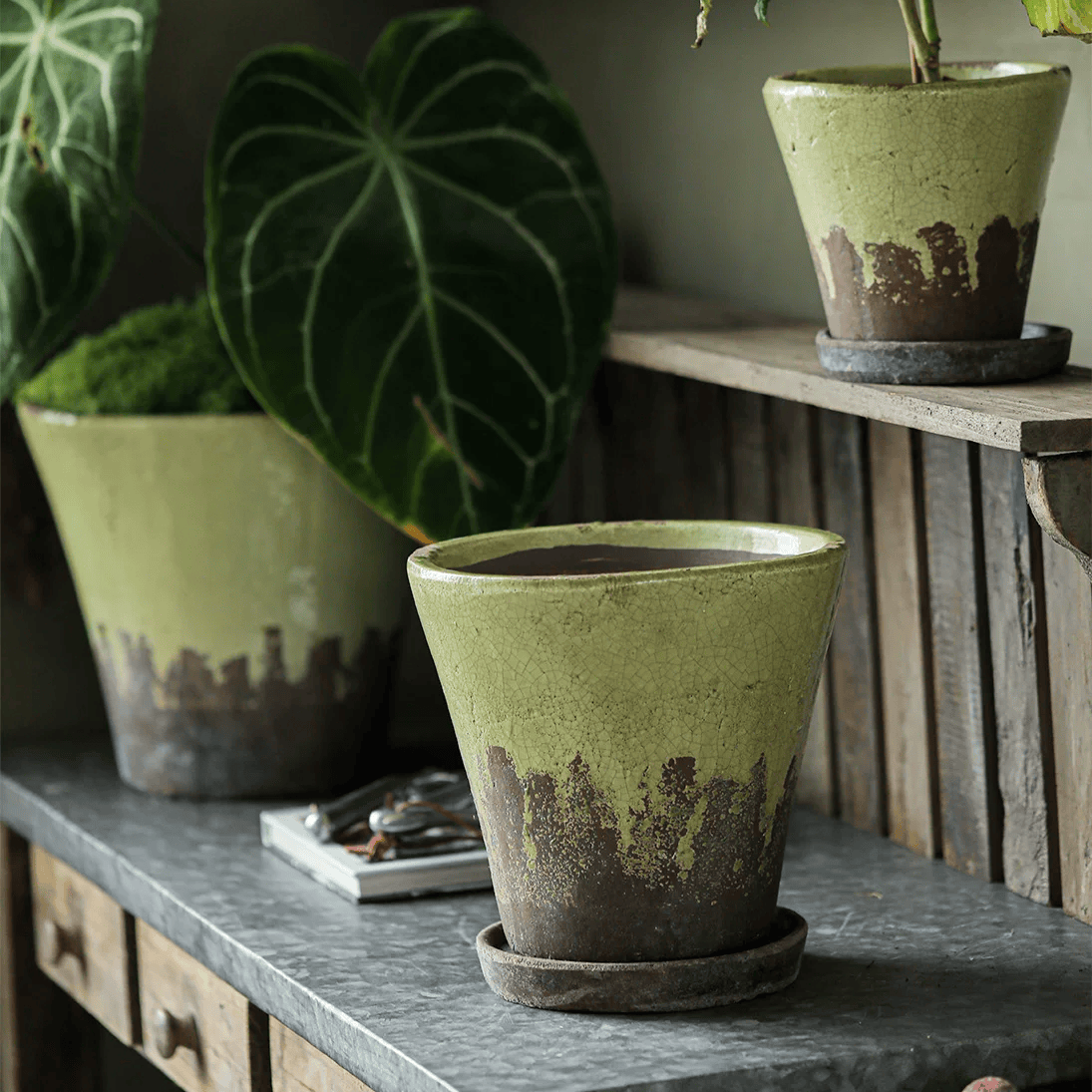 Weathered Heritage Flower Pot with Saucer set of 3 olive-green crackle glaze brown base on Tampa Home & Garden Store