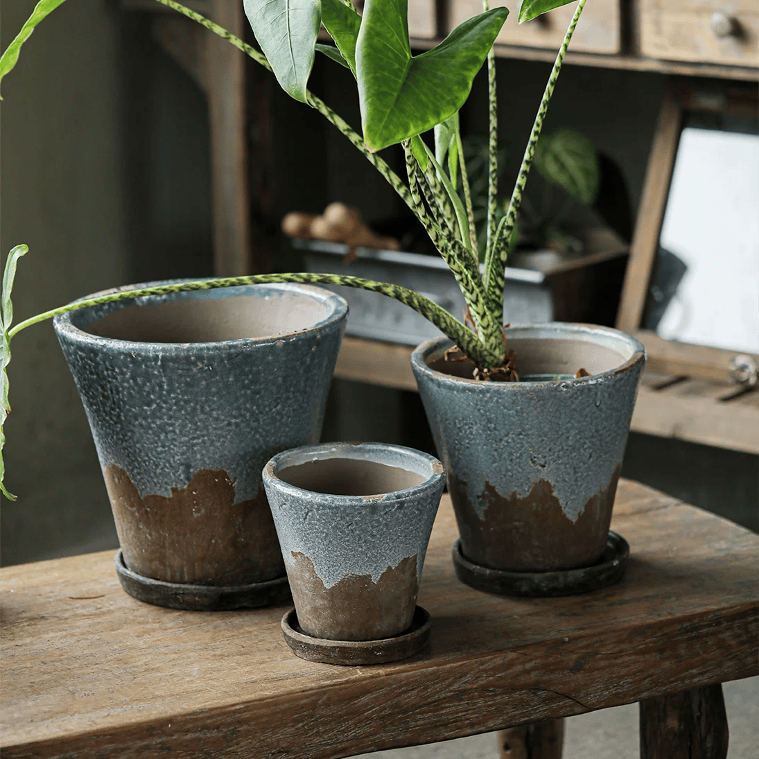 Weathered Heritage Flower Pot with Saucer set of three blue-grey planters on wood table on Tampa Home & Garden Store