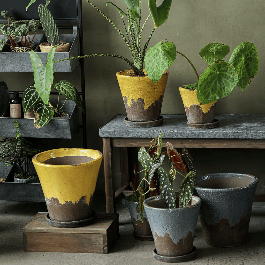 Weathered Heritage Flower Pots with Saucer set yellow brown crackled glaze RusticReach on Tampa Home & Garden Store