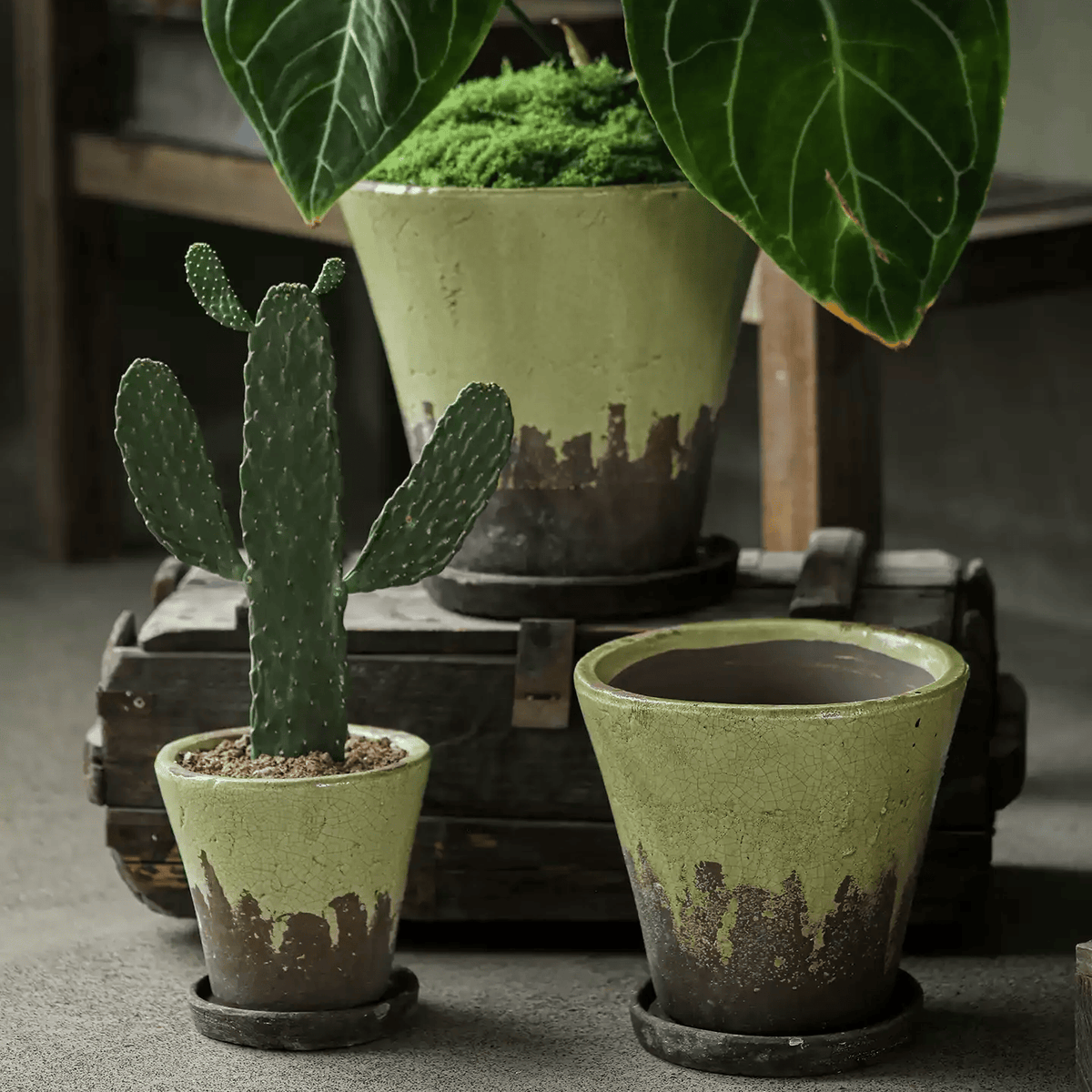 Weathered Heritage flower pots with saucers set of four in sage green, RusticReach planters on Tampa Home & Garden Store