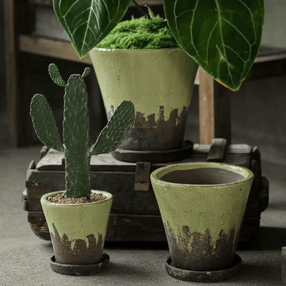 Weathered Heritage flower pots with saucers set of four in sage green, RusticReach planters on Tampa Home & Garden Store