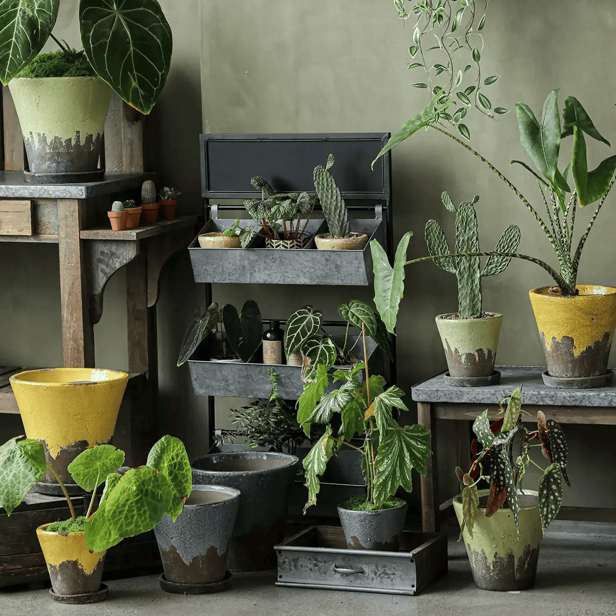 Weathered Heritage Flower Pot with Saucer by RusticReach; weathered gray planter among pots on Tampa Home & Garden Store