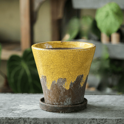 Weathered Heritage Flower Pot with Saucer by RusticReach in yellow crackled ceramic planter on Tampa Home & Garden Store