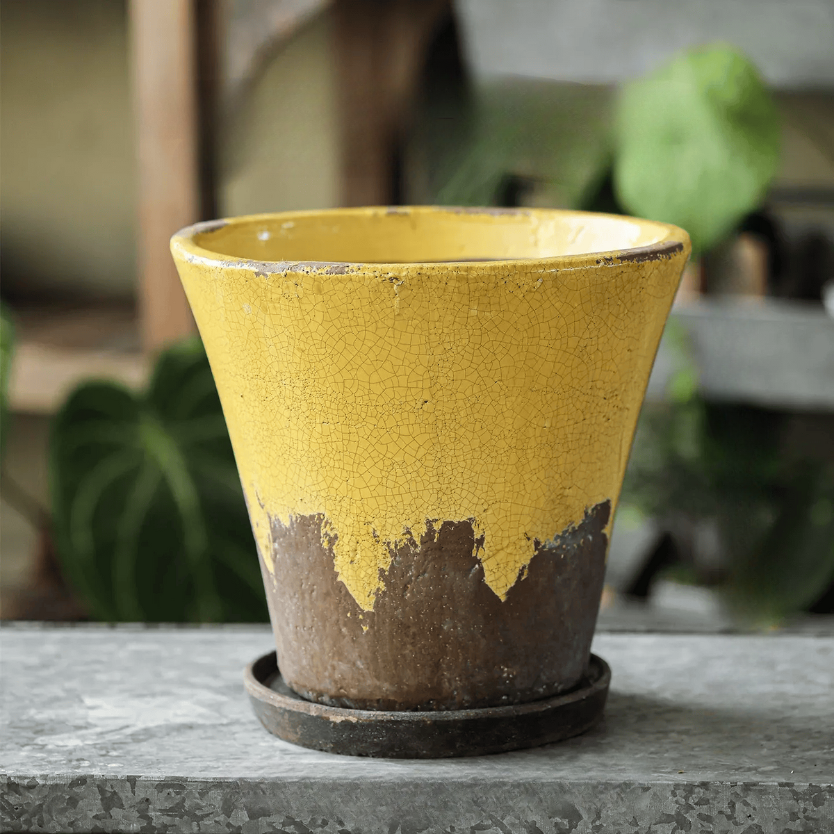 Weathered Heritage Flower Pot with Saucer in yellow crackled glaze over brown base on Tampa Home & Garden Store