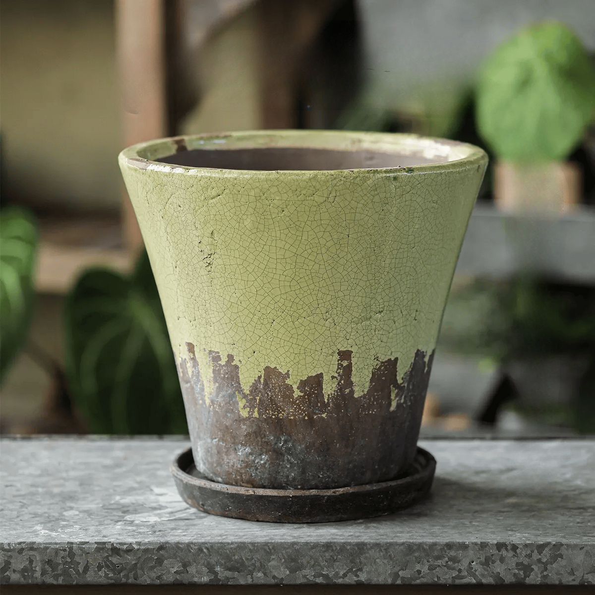 Weathered Heritage Flower Pot with Saucer in green crackled ceramic RusticReach Planters on Tampa Home & Garden Store