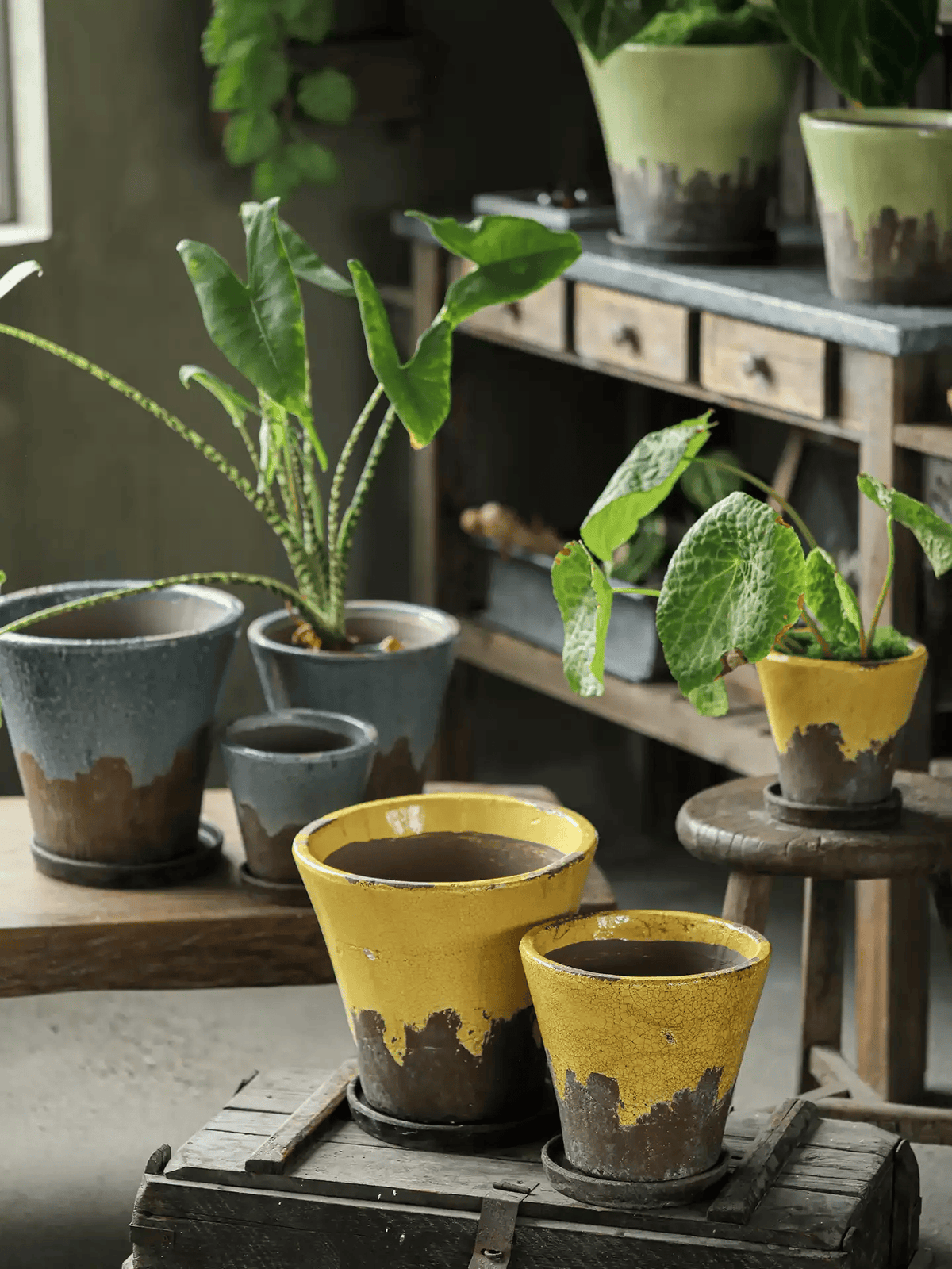 Weathered Heritage Flower Pot with Saucer by RusticReach; yellow glaze, dark base on shelf on Tampa Home & Garden Store
