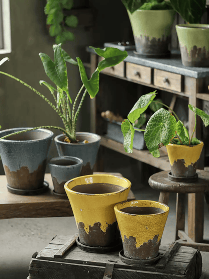 Weathered Heritage Flower Pot with Saucer by RusticReach; yellow glaze, dark base on shelf on Tampa Home & Garden Store