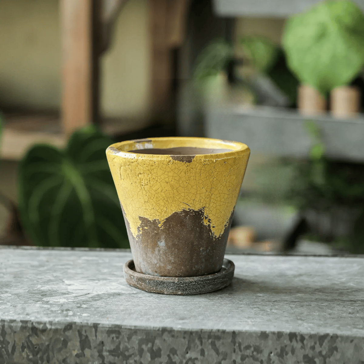 Weathered Heritage Flower Pot with Saucer in yellow crackled glaze ceramic by RusticReach on Tampa Home & Garden Store