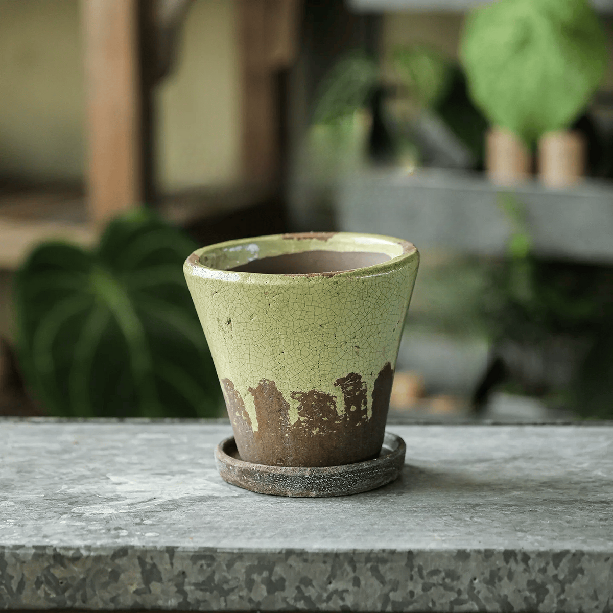Weathered Heritage Flower Pot with Saucer green crackled ceramic planter RusticReach on Tampa Home & Garden Store