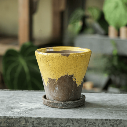 Weathered Heritage Flower Pot with Saucer yellow crackled glaze ceramic planter RusticReach on Tampa Home & Garden Store