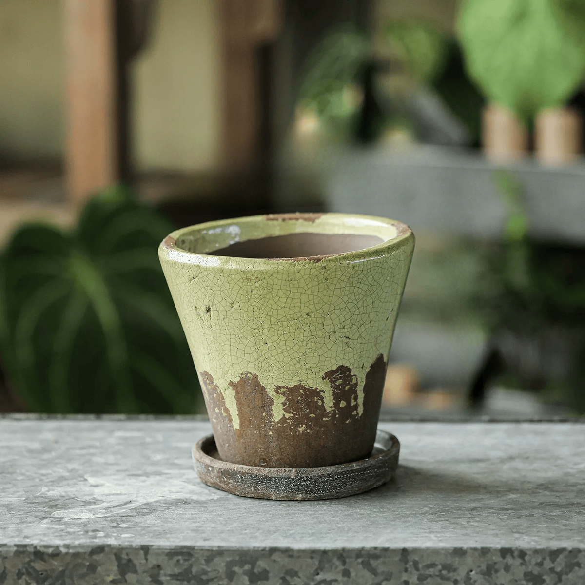 Weathered Heritage Flower Pot with Saucer, green crackle glaze, rustic finish on Tampa Home & Garden Store