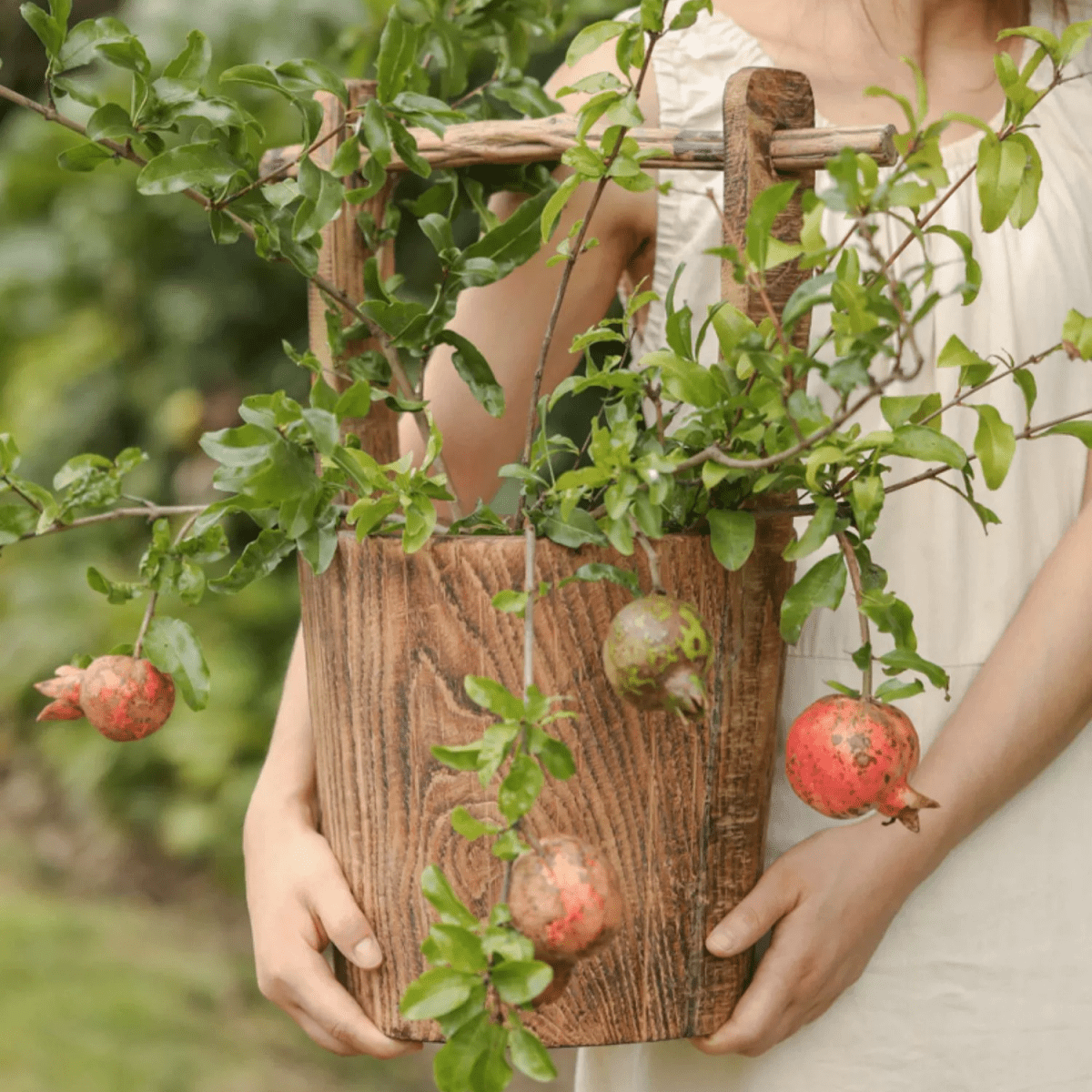 Old-fashioned wooden round bucket with greenery and three pomegranates RusticReach on Tampa Home & Garden Store