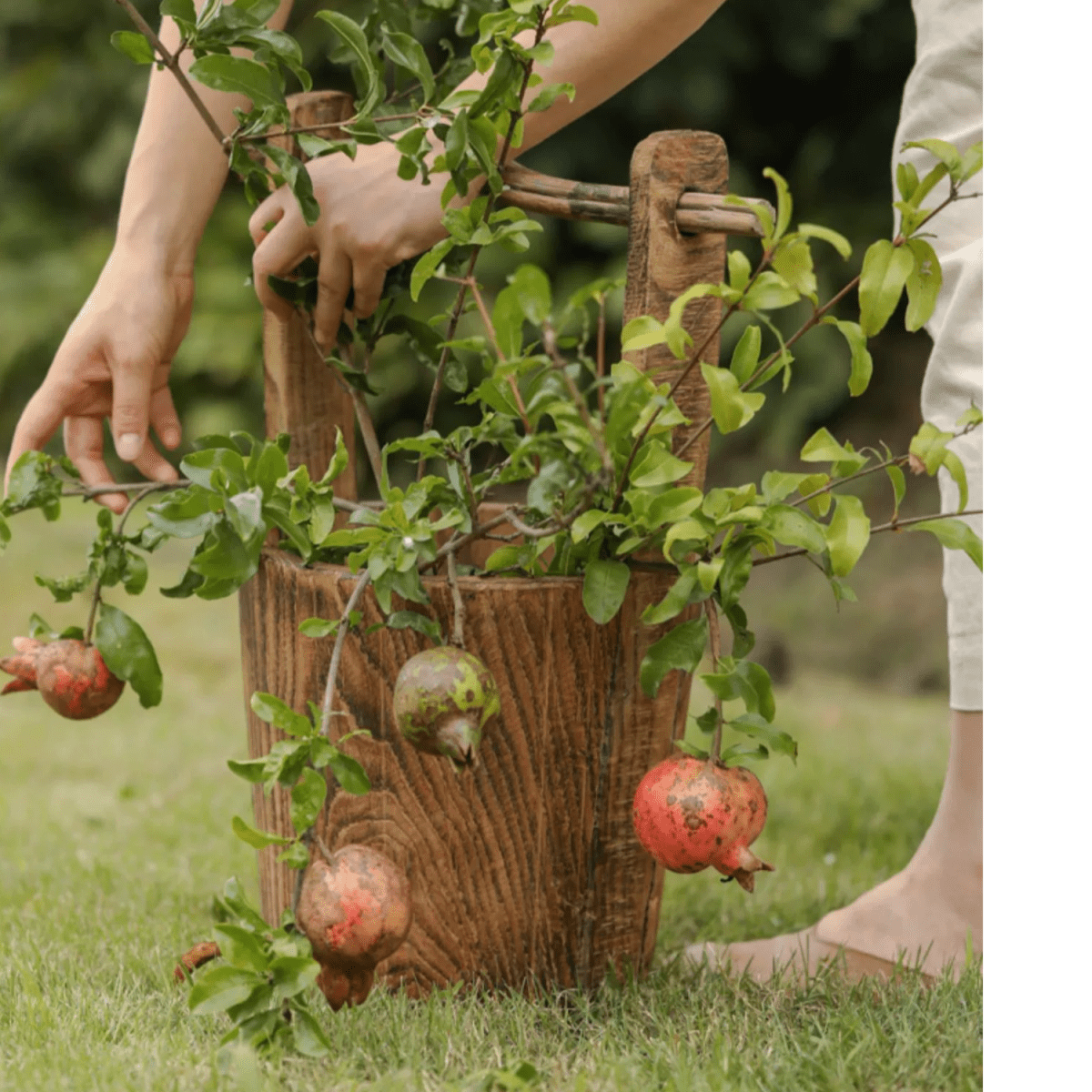 Old-fashioned round wooden bucket with rustic brown wood and three hanging pomegranates on Tampa Home & Garden Store