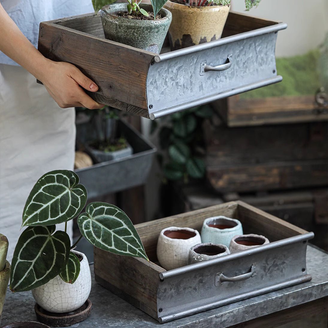 Rustic Wood and Metal Garden Tray Planter by RusticReach with two trays and galvanized metal on Tampa Home & Garden Store