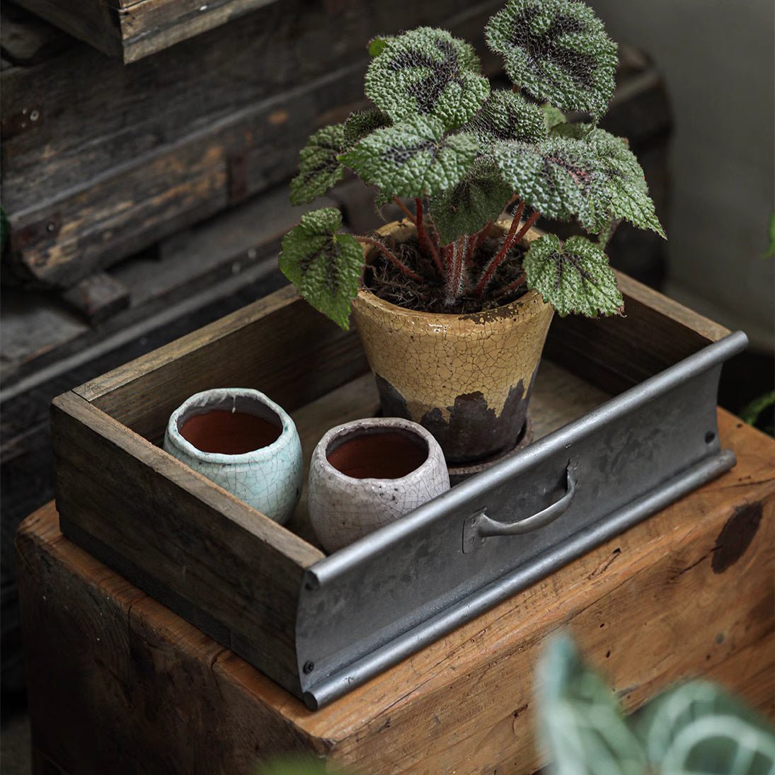 Rustic Wood and Metal Garden Tray Planter with textured green plant and two pastel vases on Tampa Home & Garden Store