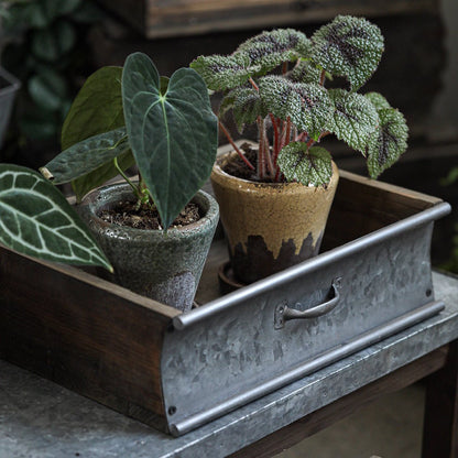 Rustic Wood and Metal Garden Tray Planter with two potted plants in a galvanized metal tray on Tampa Home & Garden Store