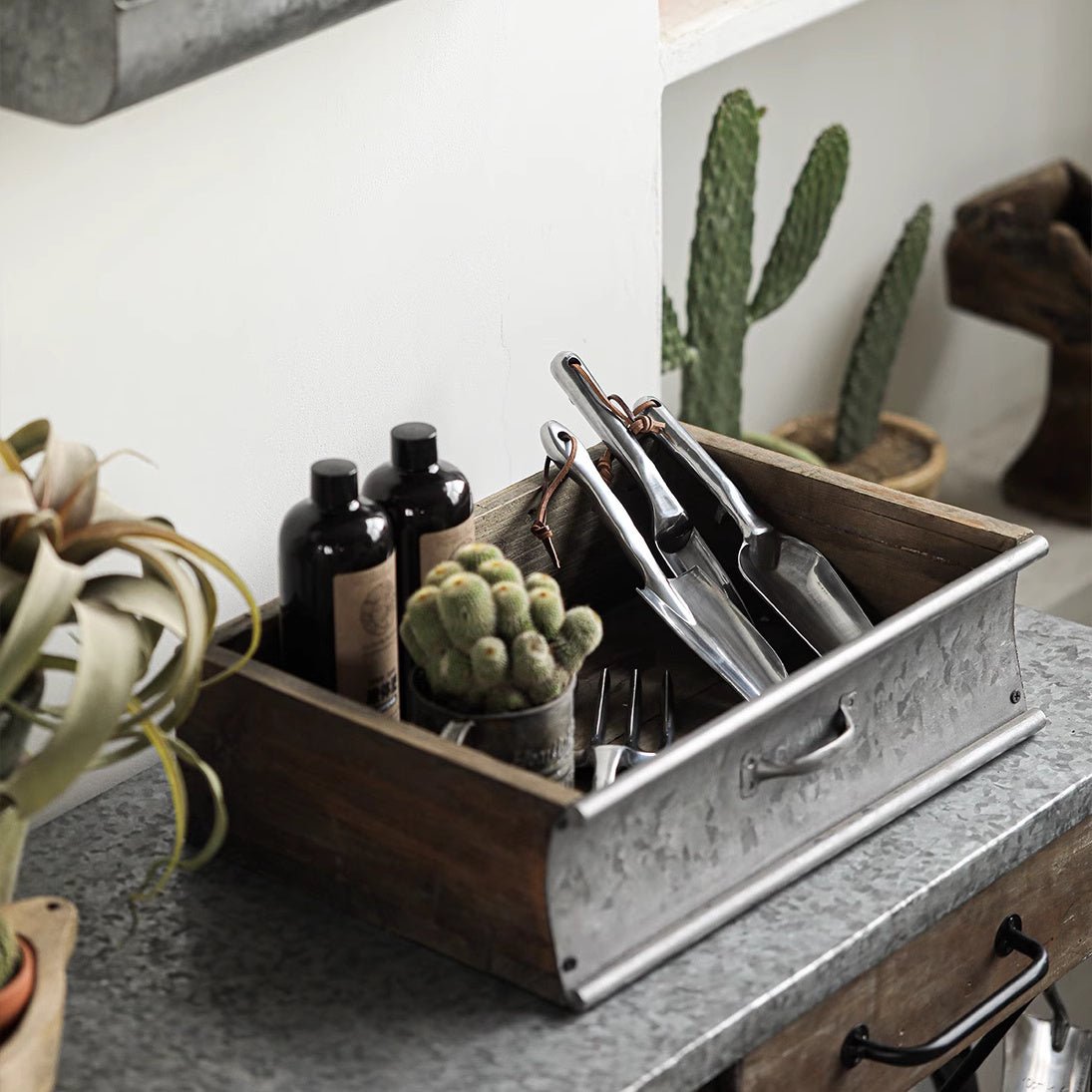 Rustic Wood and Metal Garden Tray Planter by RusticReach; galvanized tray with wood sides for tools and small cactus on Tampa Home & Garden Store