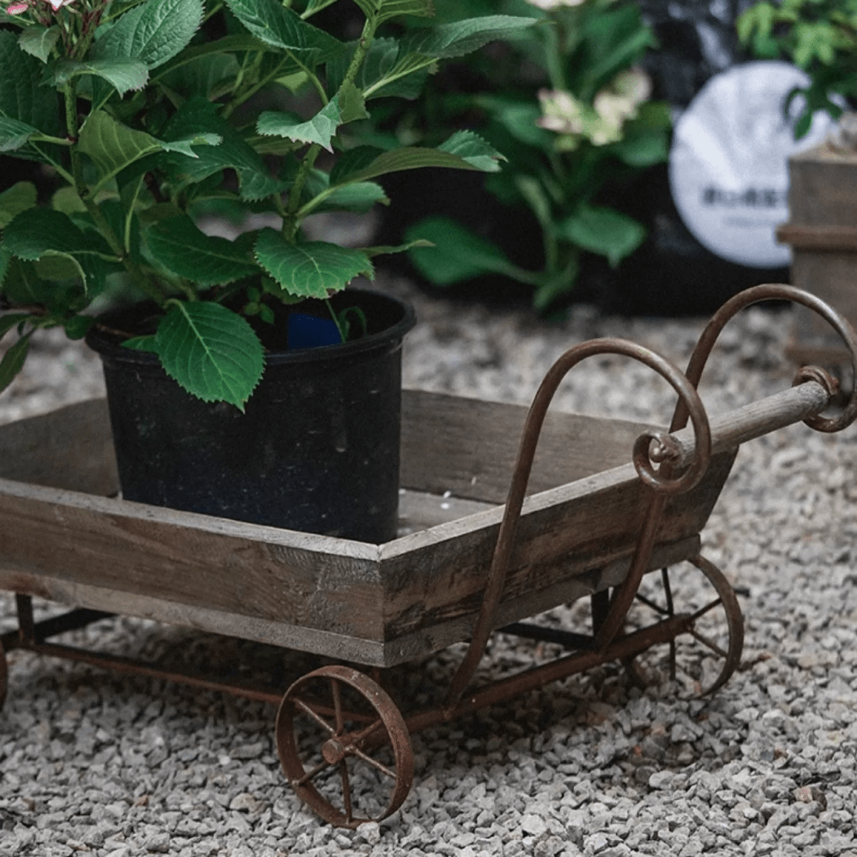 Small decorative weathered wooden wagon flower cart with a potted plant RusticReach on Tampa Home & Garden Store