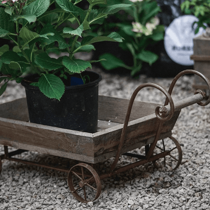 Small decorative weathered wooden wagon flower cart with a potted plant RusticReach on Tampa Home & Garden Store