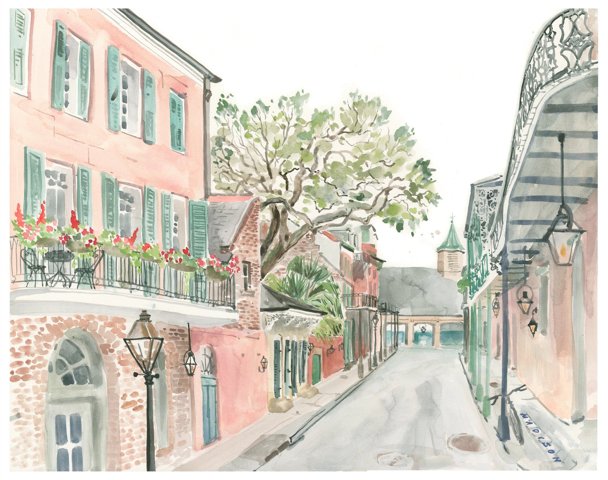 Madison Street - Tampa Home & Garden Store