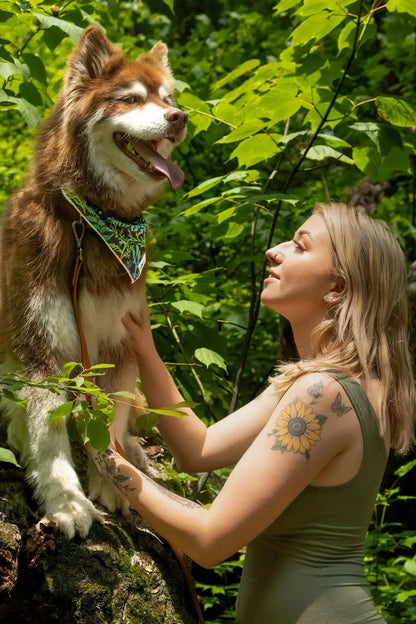 Magical Fern Forest Dog Bandana & Matching Keychain - Tampa Home & Garden Store