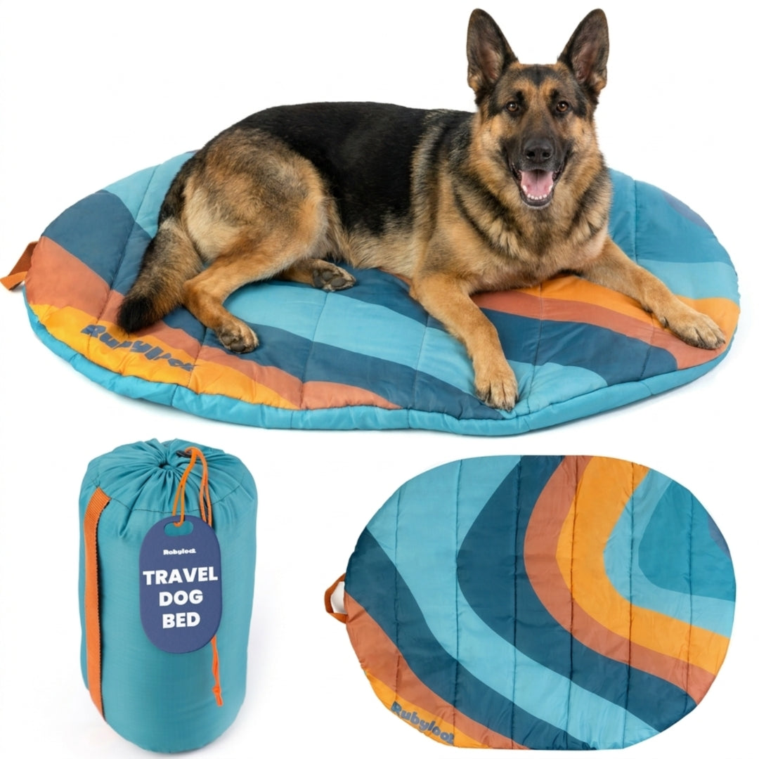 Travel Dog Bed by Rubyloo; foldable teal pillow bed with orange accents, dog resting on bed on Tampa Home & Garden Store