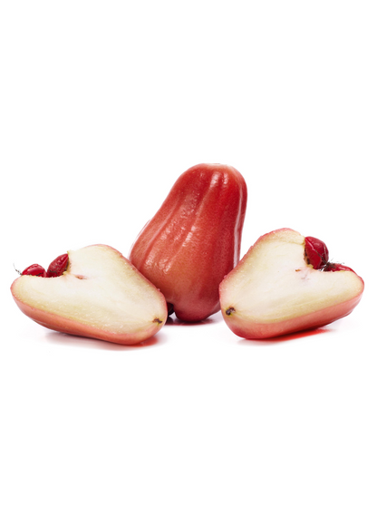 Malay Apple, Variegated (Syzygium malaccense) - Tampa Home & Garden Store