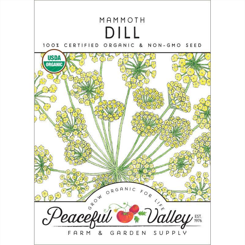 Mammoth Dill Seeds (Organic) - Tampa Home & Garden Store