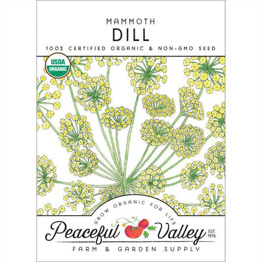Mammoth Dill Seeds (Organic) - Tampa Home & Garden Store