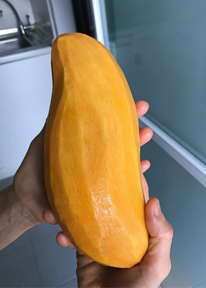 Mango 'Mahachanok' (Mangifera indica) - Tampa Home & Garden Store
