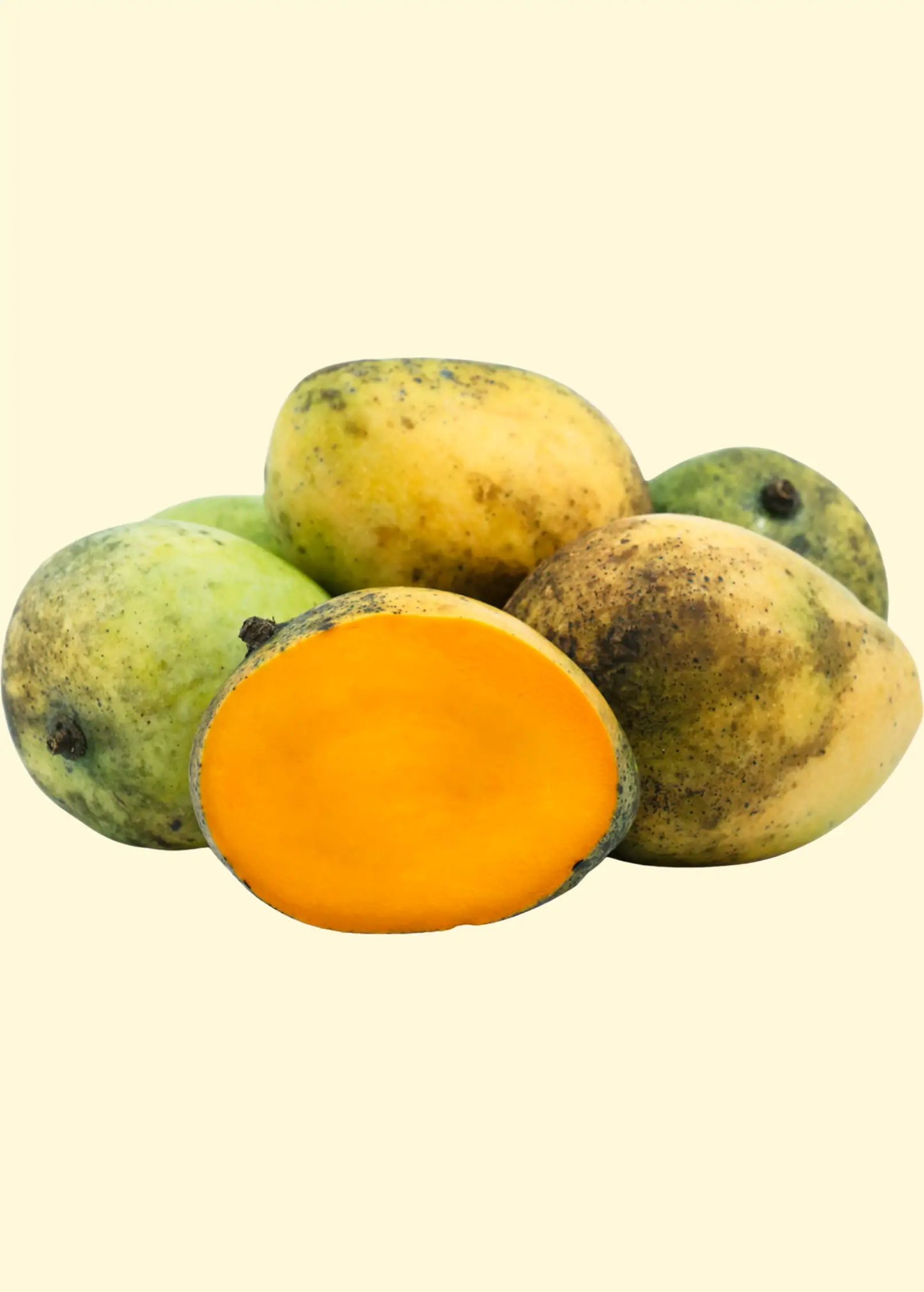 Mango 'Sweet Tart' (Mangifera indica) - Tampa Home & Garden Store