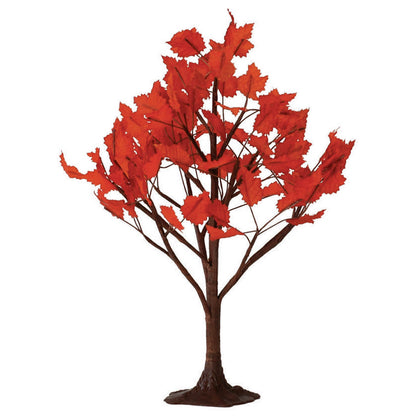 Maple Tree - 6" - Tampa Home & Garden Store