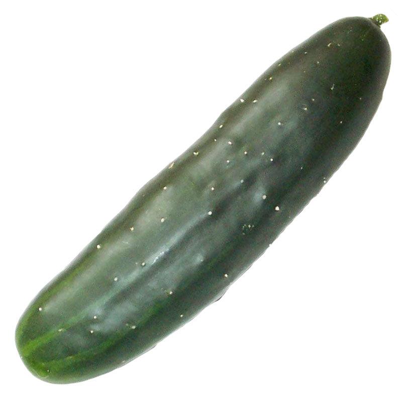 Marketmore 76 Cucumber Seeds (Organic) - Tampa Home & Garden Store