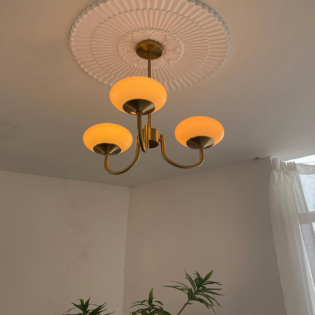 Marshmallow bubble chandelier with pink hand-sprayed shades, brass arms, four-bulb fixture on Tampa Home & Garden Store