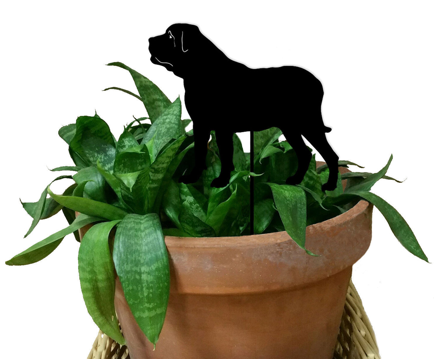 Mastiff plant stake silhouette black Rustica Ornamentals atop leaves in terracotta pot on Tampa Home & Garden Store